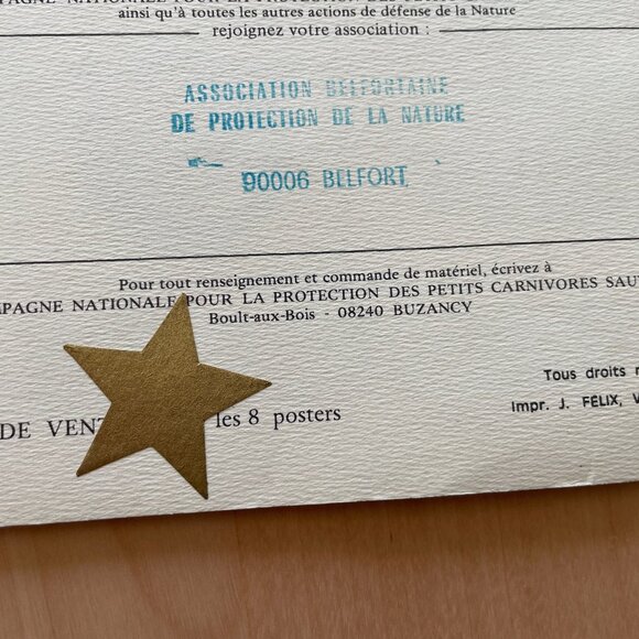 Vintage Illustrations of Small Wild Carnivores Found in France - Picture 4 of 9